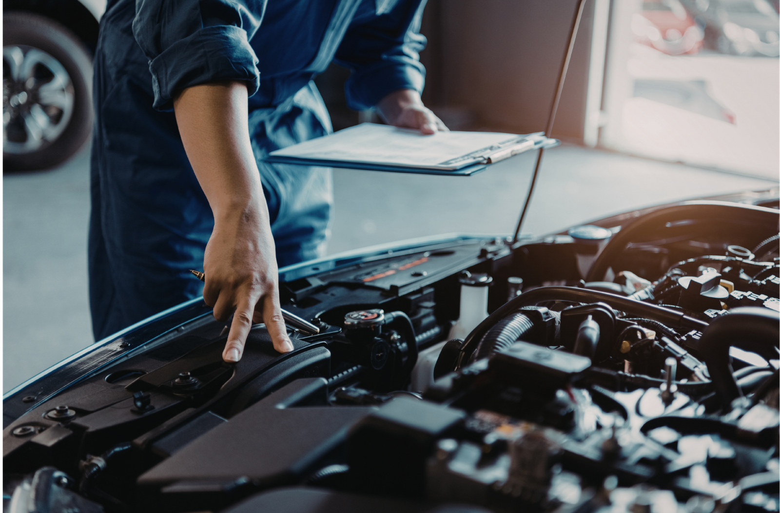 Untitled design (13)